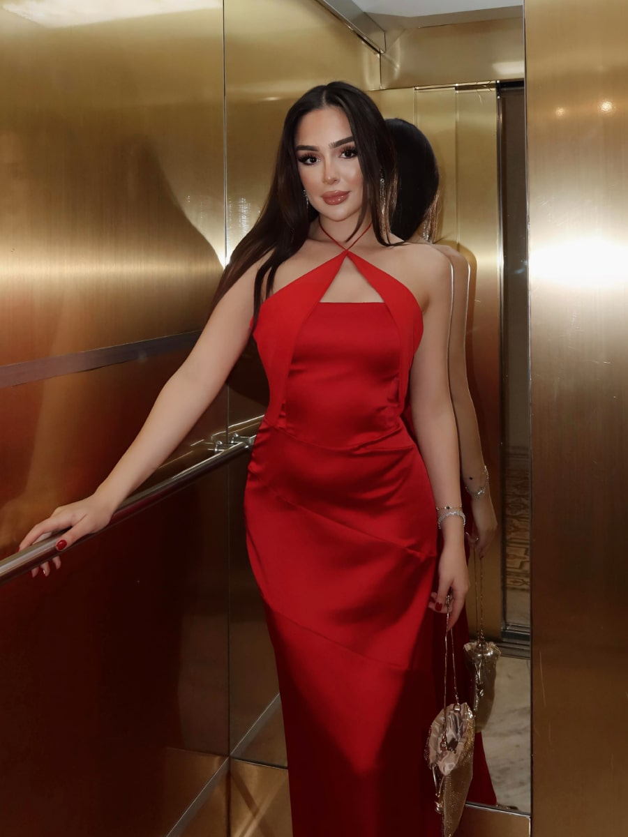 Solid Color Backless Halter Neck Dress