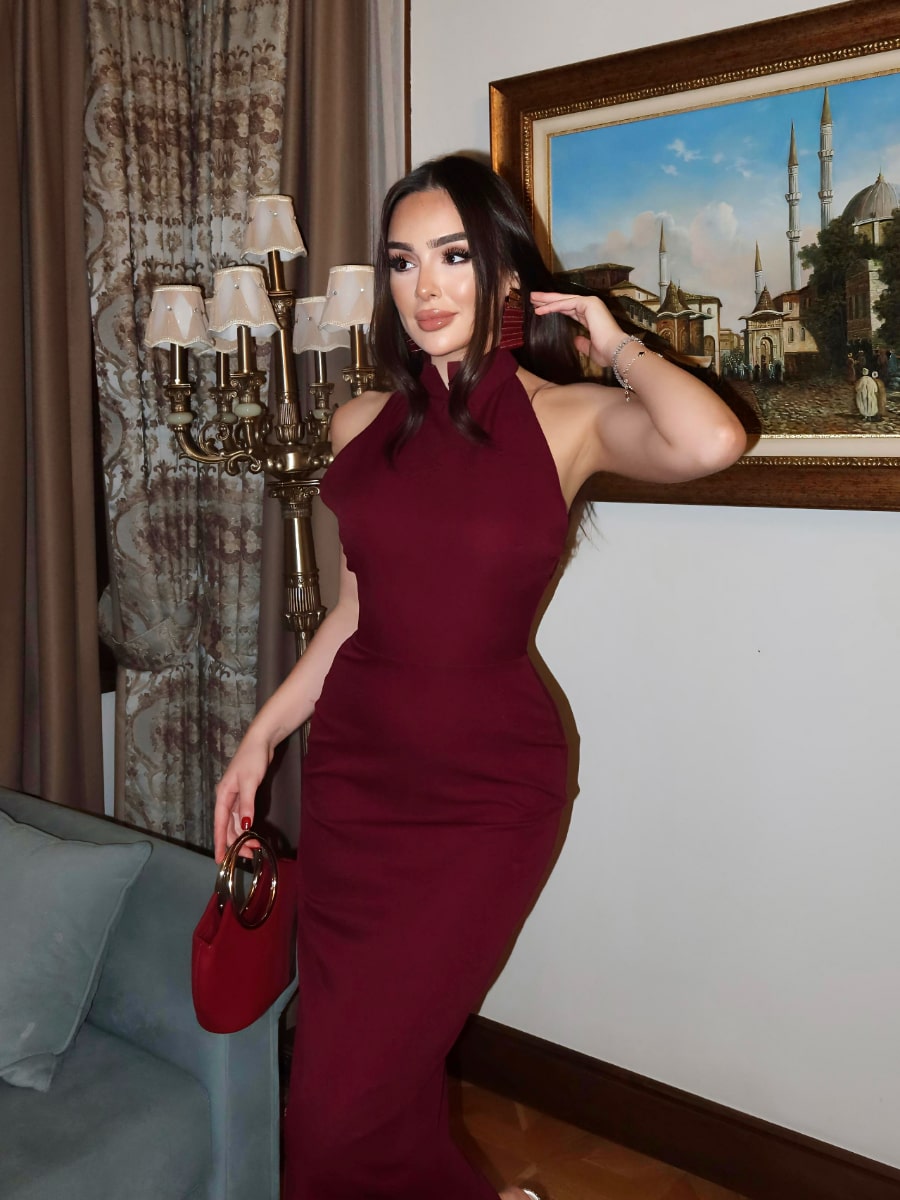 Backless Solid Color Halter Neck bodycon Dress